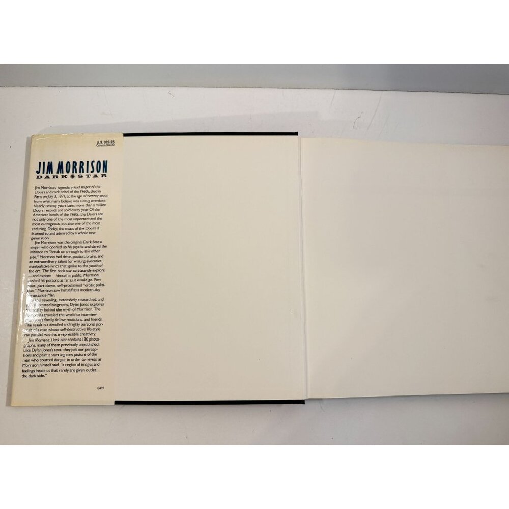 Jim Morrison Dark Star Hardcover By Jones, Dylan - GOOD - Picture 5 of 16